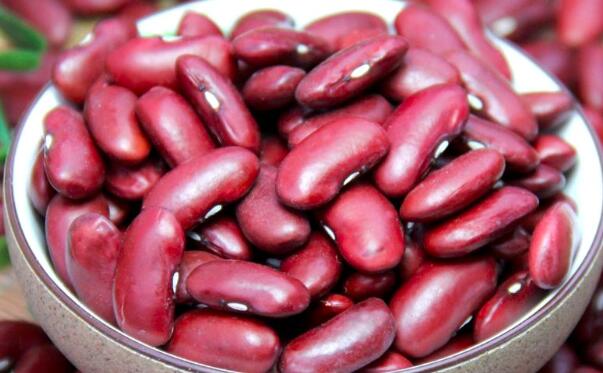 包含小红豆苹果苹果版下载的词条-第3张图片-QuickQ官网 包含小红豆苹果苹果版下载的词条-第3张图片-QuickQ官网