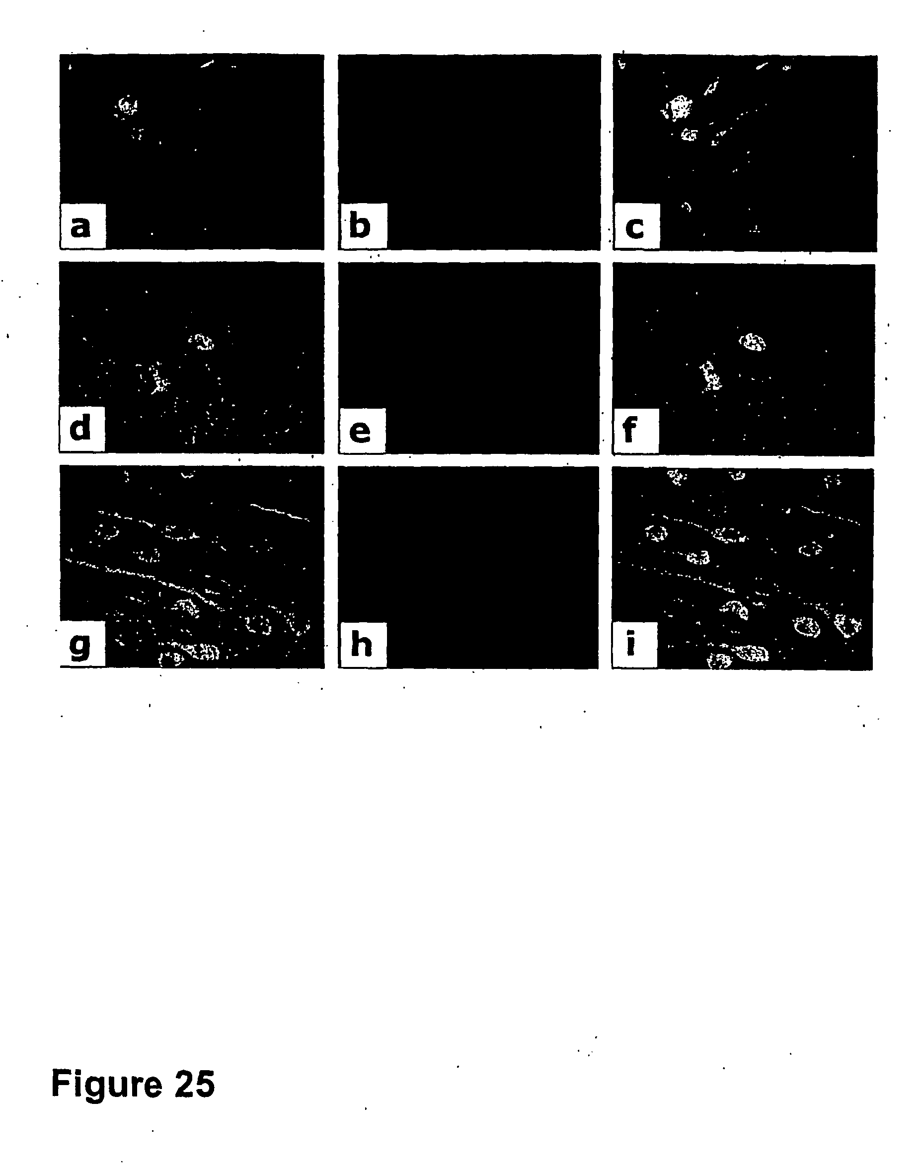 csf视频播放器手机版(手机播放csf格式的视频)