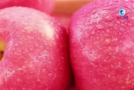 colorwidgets苹果版(苹果color widgets怎么设置)-第4张图片-QuickQ官网