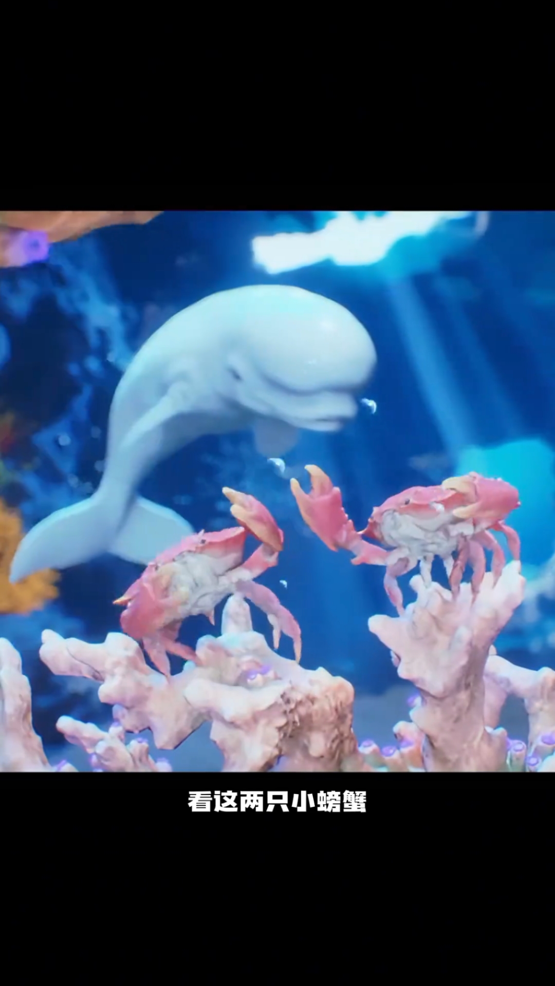 海底大猎杀手机苹果版(海底大猎杀苹果手机下载破解中文版)-第3张图片-QuickQ官网