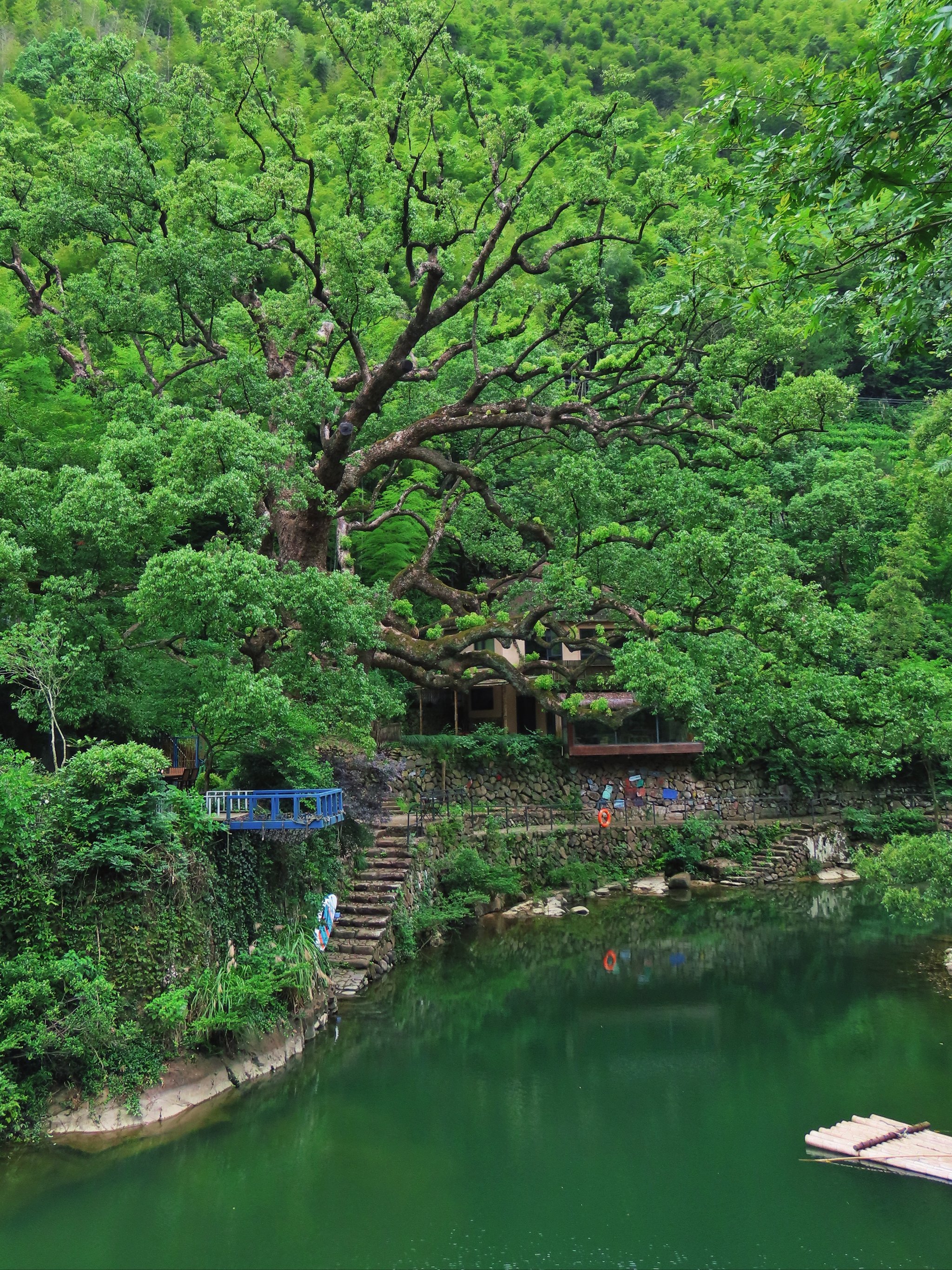 cts6有手机版吗(ct6可以连接安卓手机吗)-第3张图片-QuickQ官网