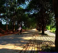 路边风景手机版下载(路边风景手机版下载最新版)-第3张图片-QuickQ官网