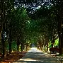 路边风景手机版下载(路边风景手机版下载最新版)-第5张图片-QuickQ官网